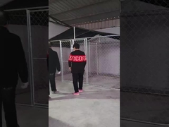 Cane di cane in acciaio