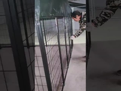 6ft di altezza saldata in acciaio canile canile in polvere rivestita Dog Run House