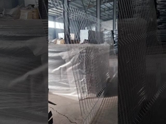 Recinzione di sicurezza della prigione galvanizzata a vista chiara