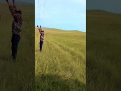 Hot Dip Galvanizzato Cattle Fence Pannello 8 Ft Altezza Fissato Nodo Cervo Fence a maglia