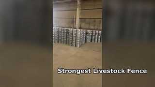 Forte recinto per bestiame per cavalli da bestiame