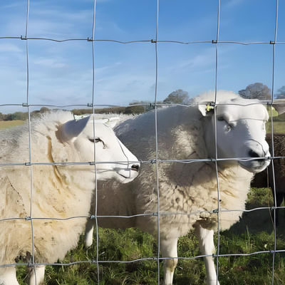 1.5M High 100M Length Veldspan High Tensile Wire Cattle Farm Fence