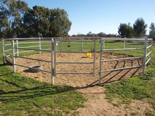Fence per bovini a tubo saldato galvanizzato 8FT Fence per allevamenti equini