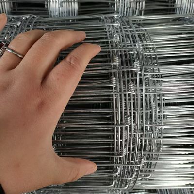 1.5M pannelli galvanizzati per bovini, pannelli metallici per animali da allevamento