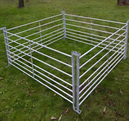 10 piedi tubo galvanizzato pannello di recinzione portatile allevamento di bestiame