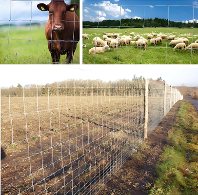 Hot-dipped Galvanized Cattle Farm Fence with Fixed Knot and 1.5m Height for Livestock Protection